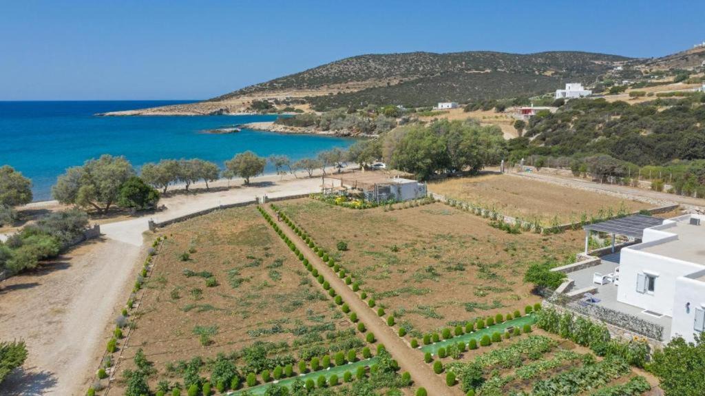 Photo of Others in Paros