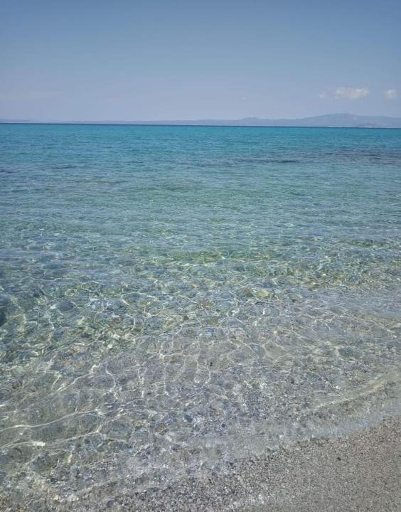 Photo of Others in Haniotis