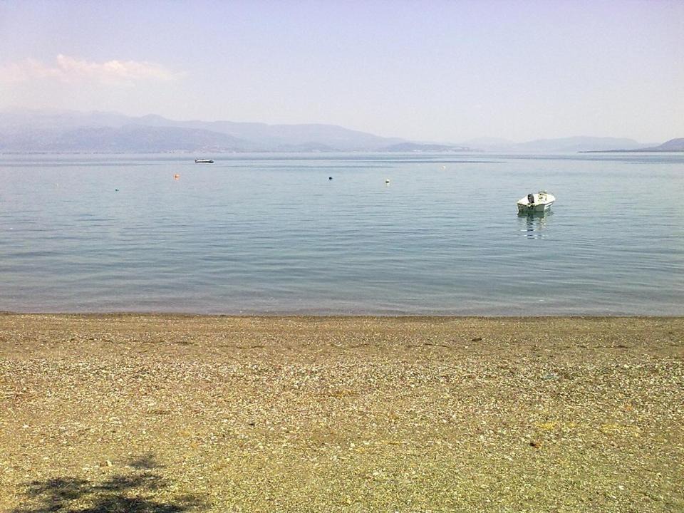 Photo of Others in Kamena Vourla