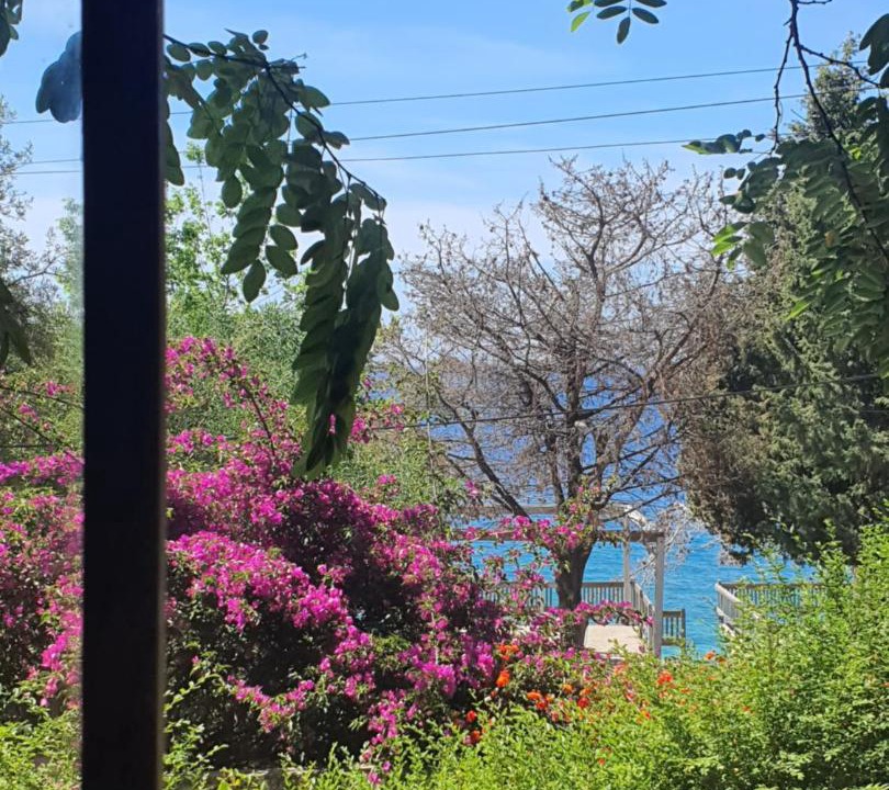 Photo of Others in Dhermi