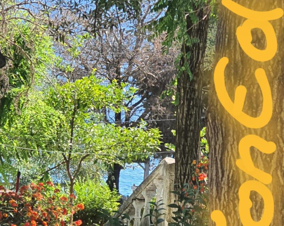 Photo of Others in Dhermi
