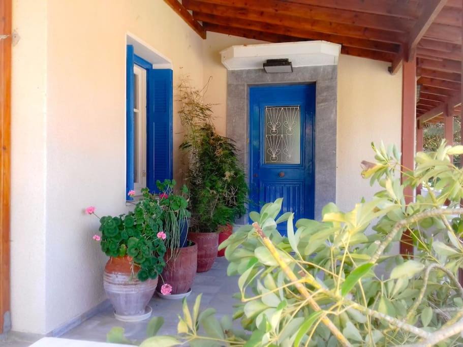 Photo of Others in Andros Town
