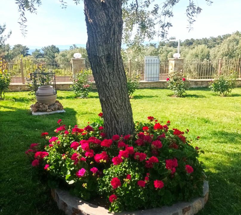 Photo of Outdoor in Megalos Prinos