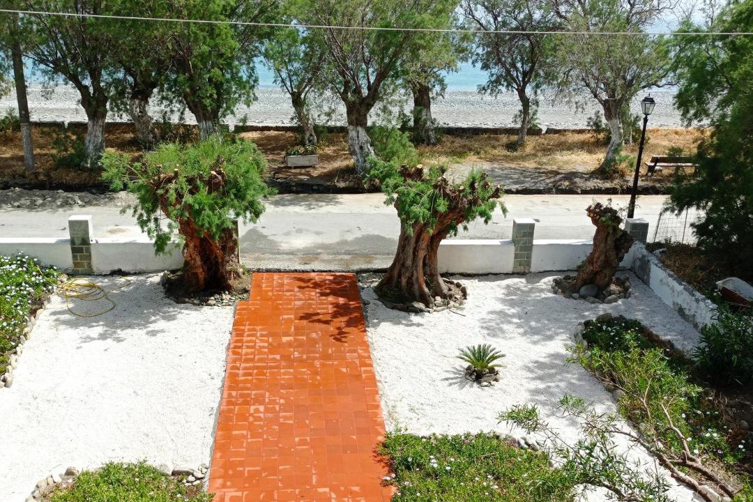Photo of Others in Sougia