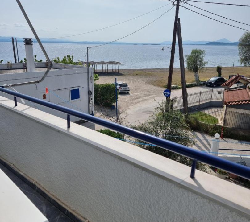 Photo of Others in Amarinthos