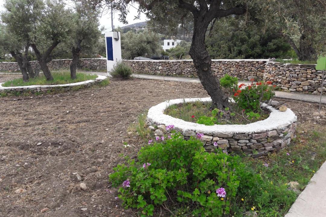 Photo of Others in Platis Gialos