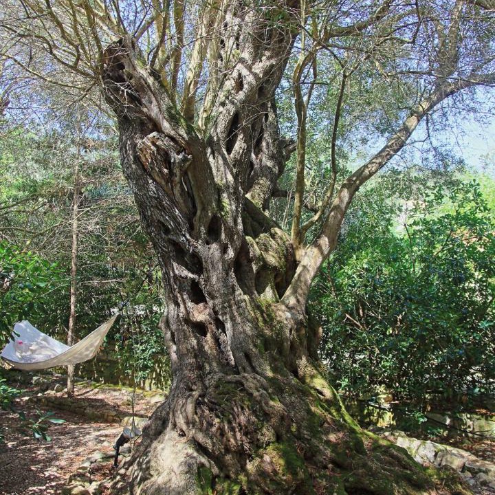 Photo of Others in Gaios