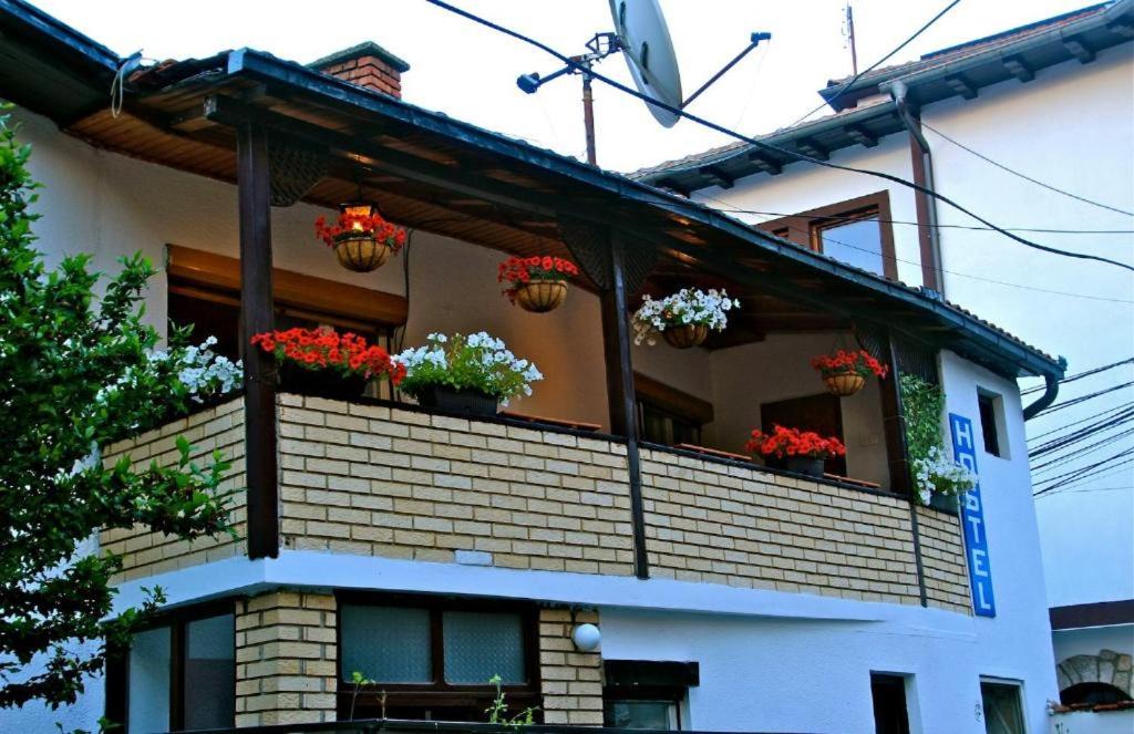 Photo of Others in Prizren