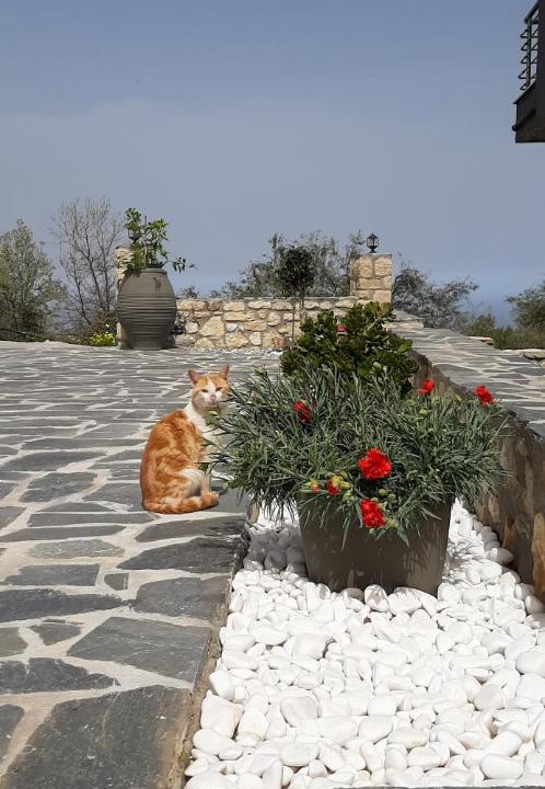 Photo of Others in Arkadi
