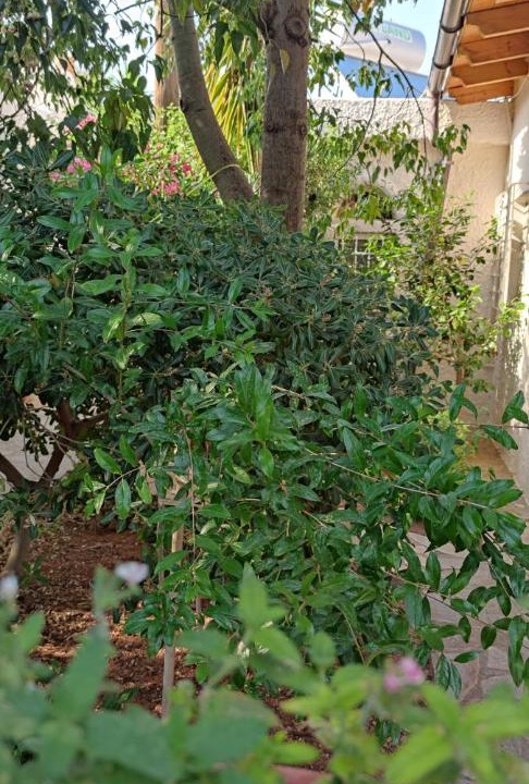 Photo of Others in Agios Nikolaos Town