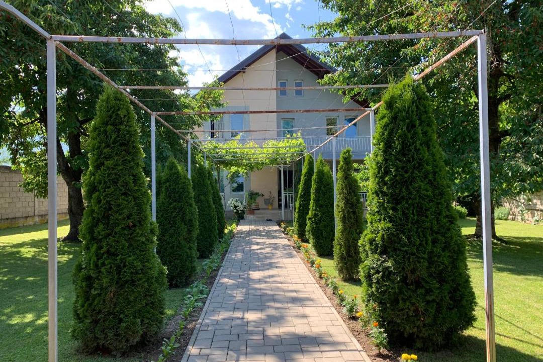 Photo of Others in Vitomiricë