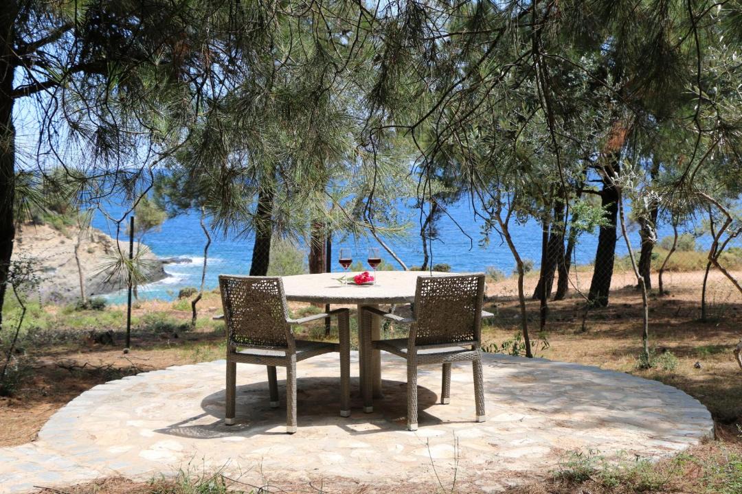 Photo of Others in Thasos