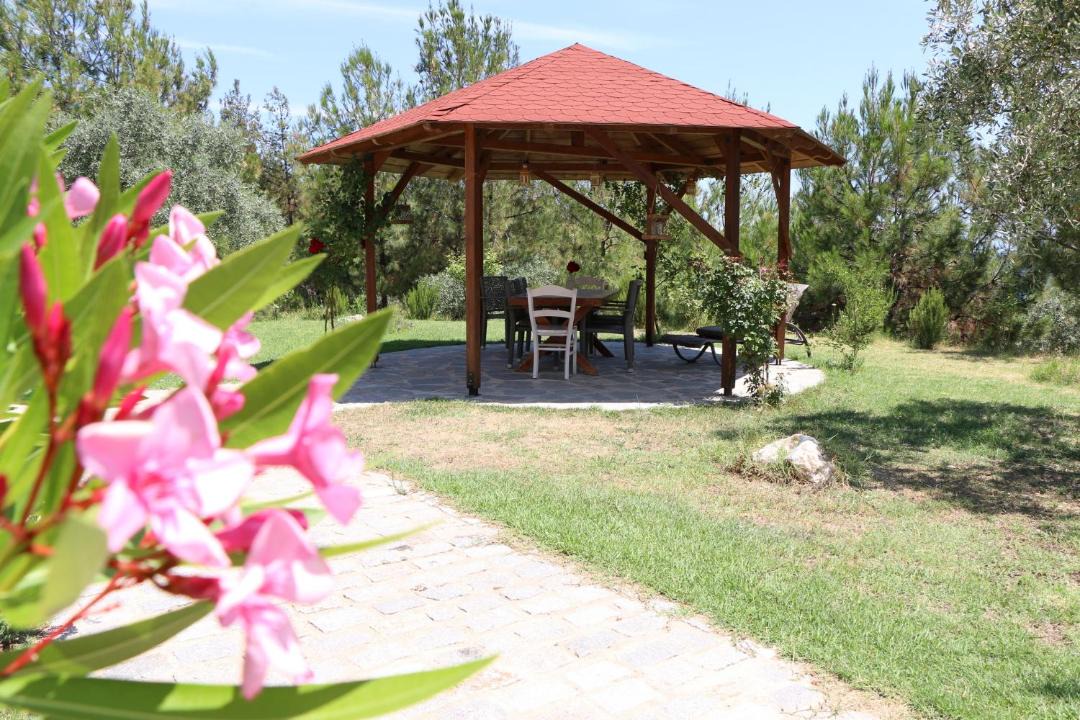 Photo of Others in Thasos