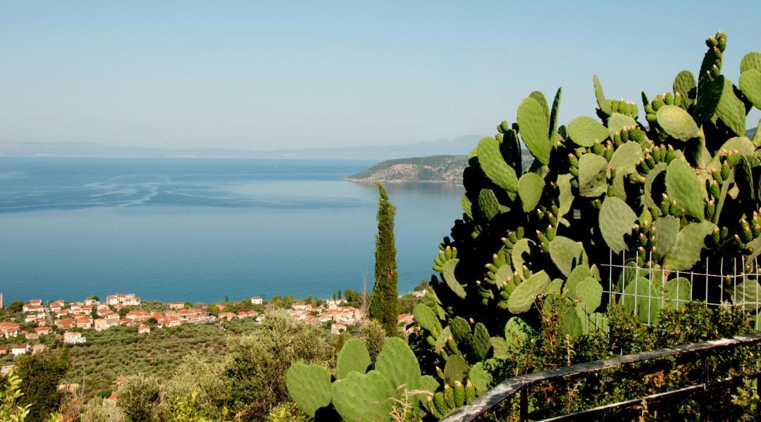 Photo of Others in Kardamyli