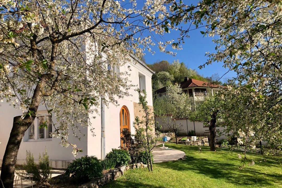 Photo of Buildings in Smirë