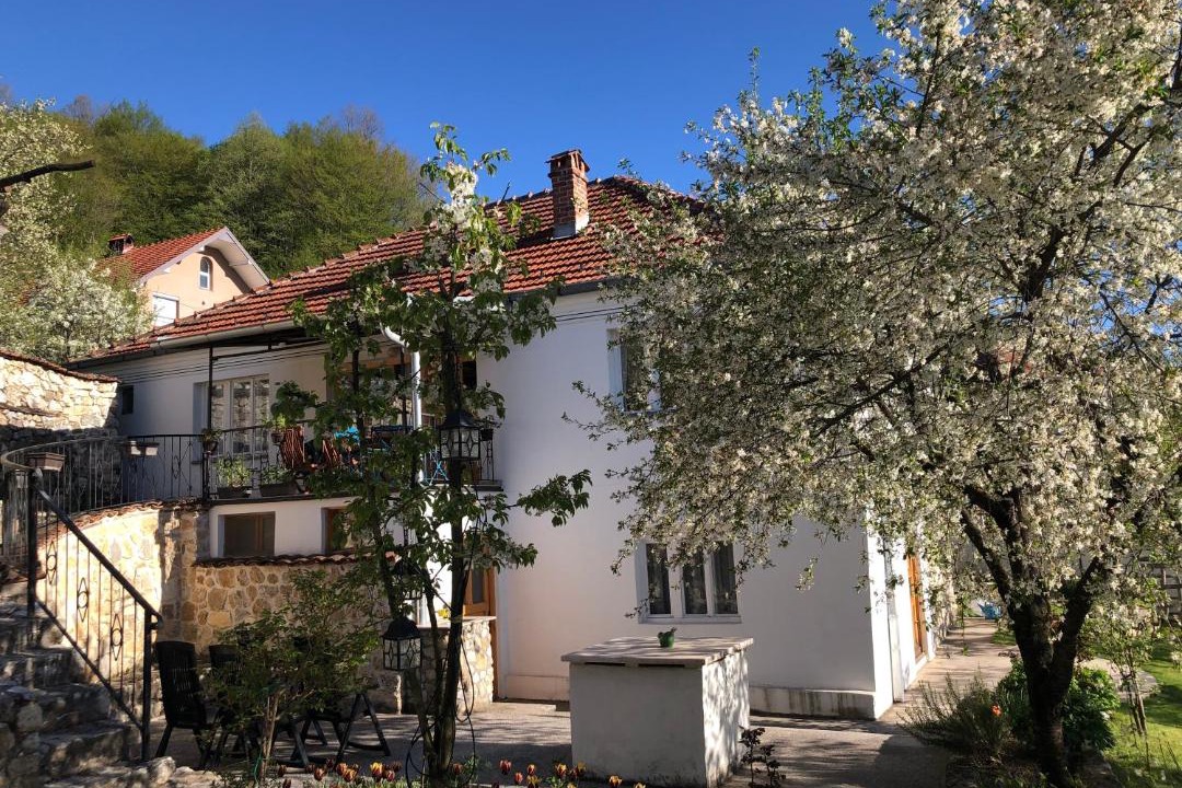 Photo of Buildings in Smirë