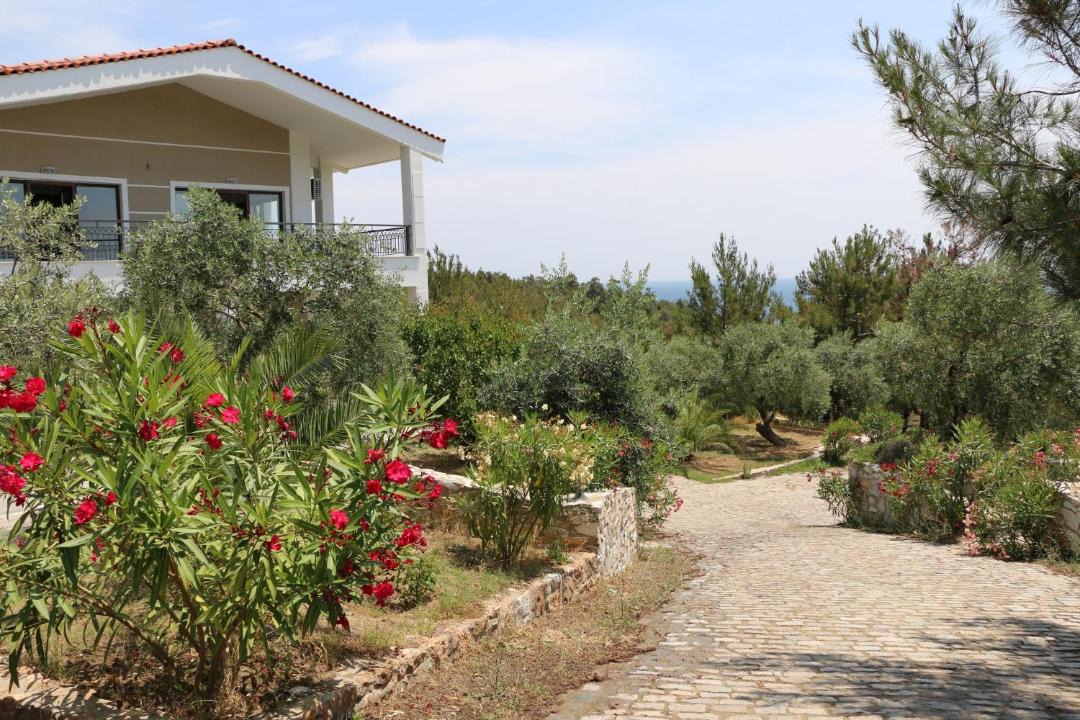 Photo of Others in Thasos