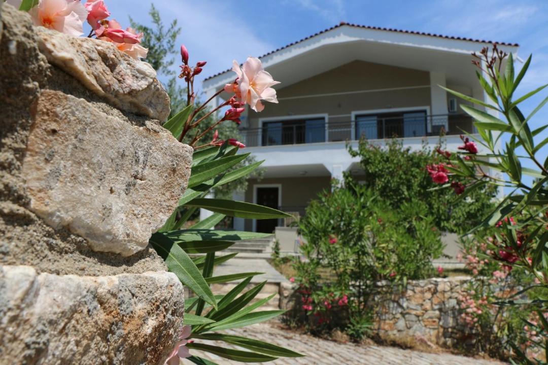 Photo of Others in Thasos