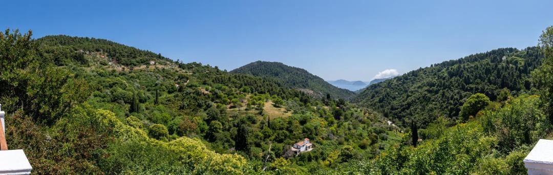 Photo of Others in Skopelos