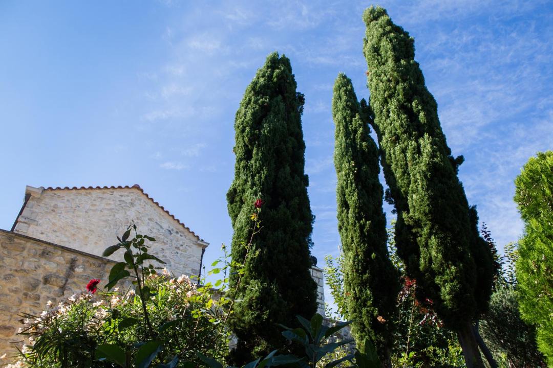 Photo of Others in Argyroupoli