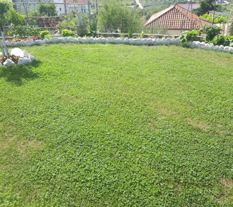 Photo of Others in Valanidorrachi