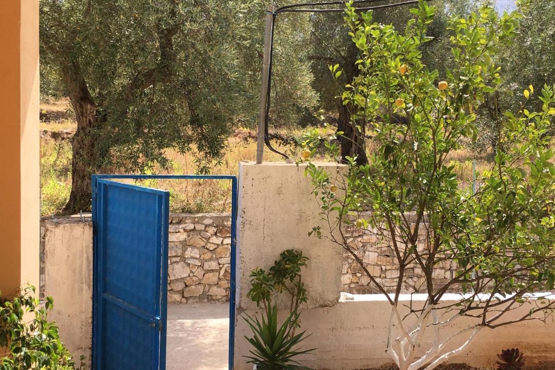 Photo of Others in Himare