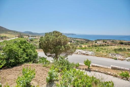 Photo of Others in Naxos