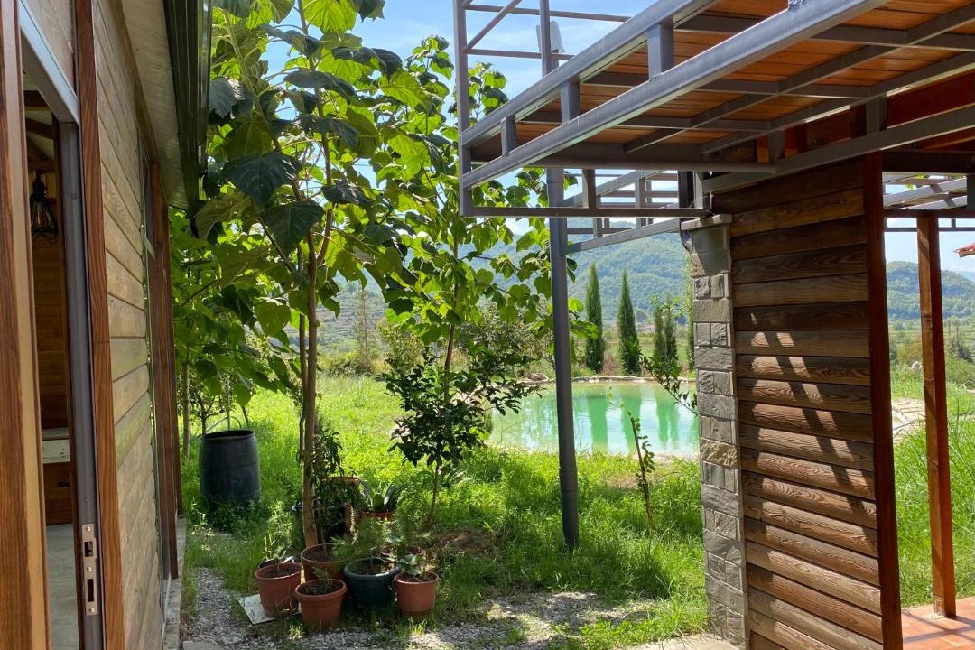 Photo of Others in Albania