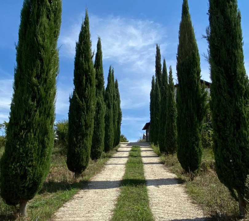 Photo of Others in Albania