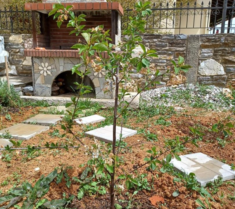 Photo of Buildings in Lafkos