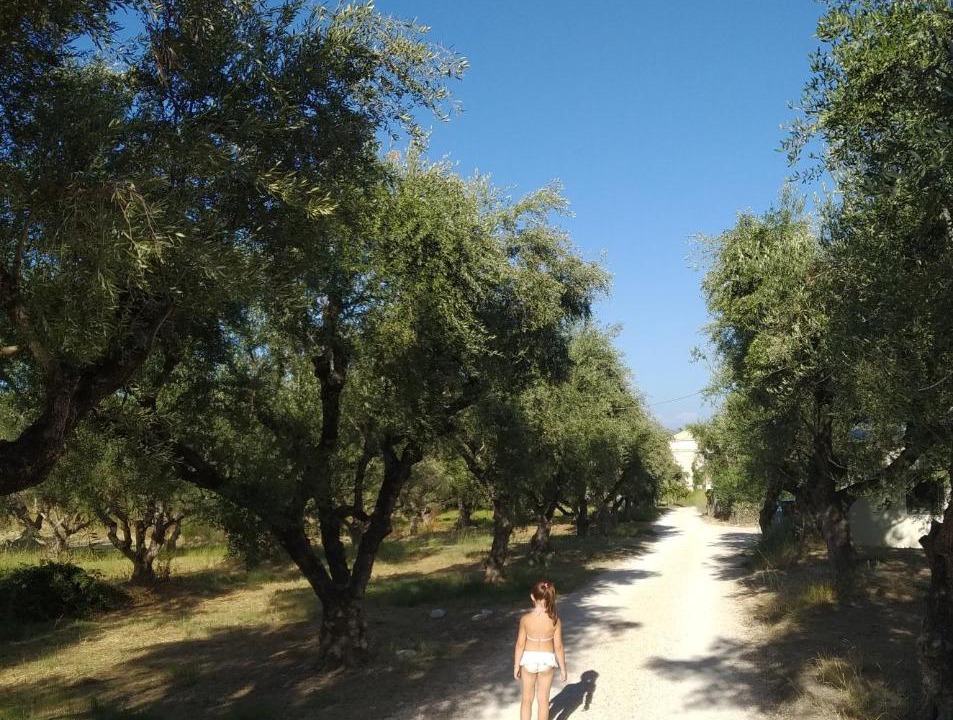 Photo of Others in Laganas