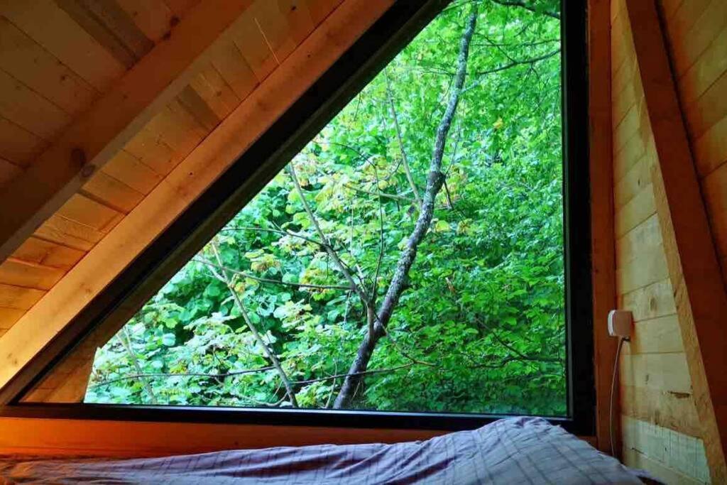 Photo of Bedroom in Pleshinë