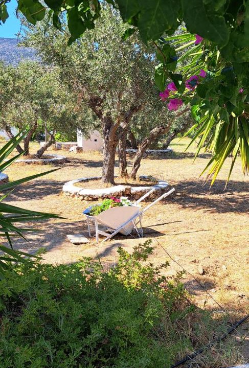 Photo of Others in Platis Gialos
