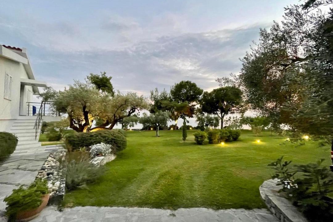 Photo of Others in Kassandra