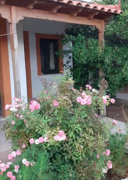 Photo of Buildings in Marathokampos