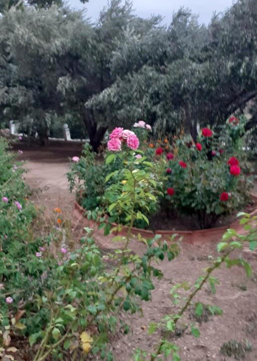 Photo of Outdoor in Marathokampos