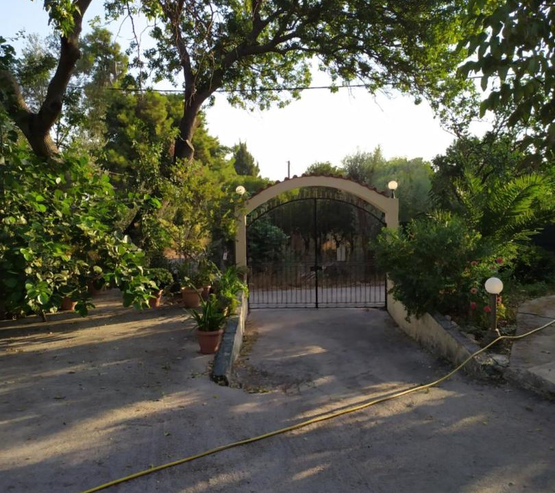 Photo of Others in Agios Minas