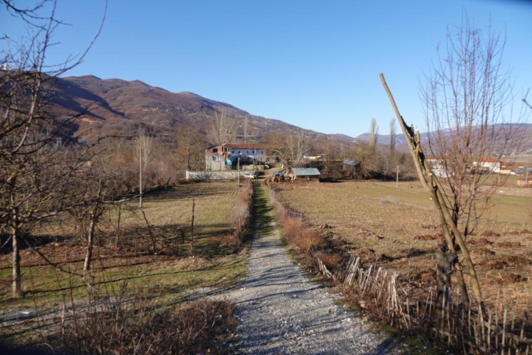 Photo of Others in Diber