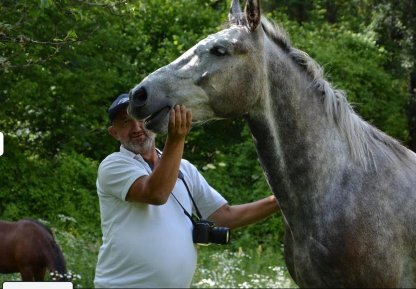 Photo of Others in Diber
