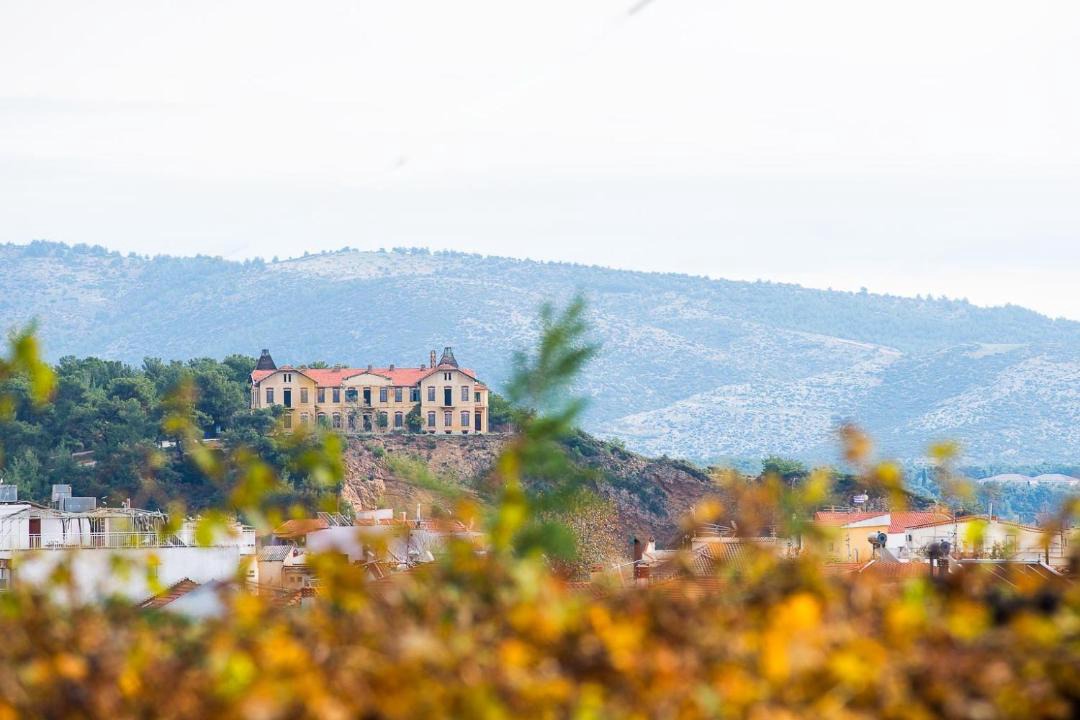 Photo of Others in Limenaria