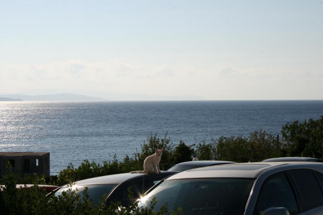 Photo of Others in Agios Emilianos