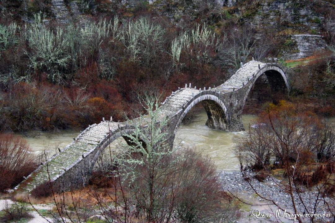 Photo of Others in Papigo