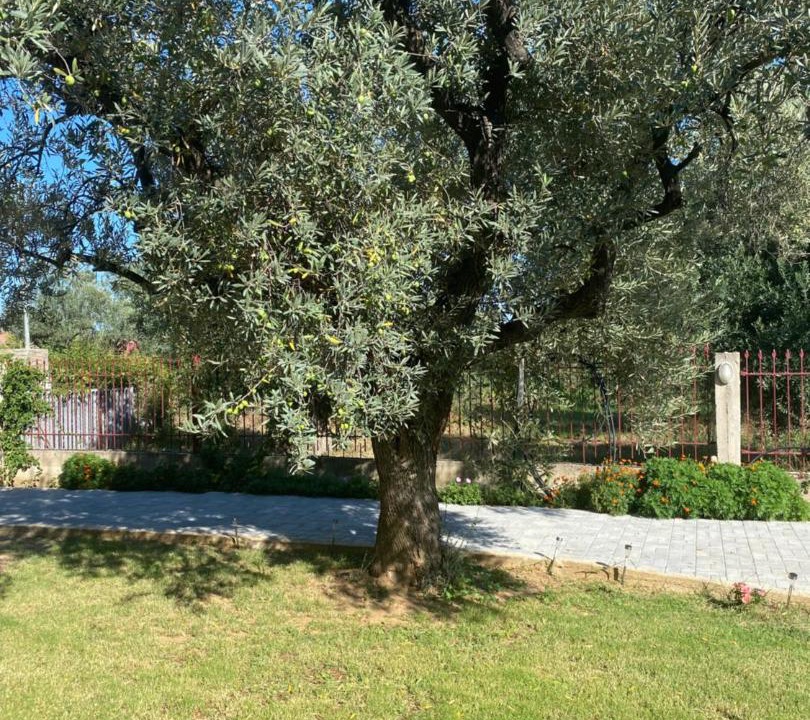 Photo of Others in Sithonia
