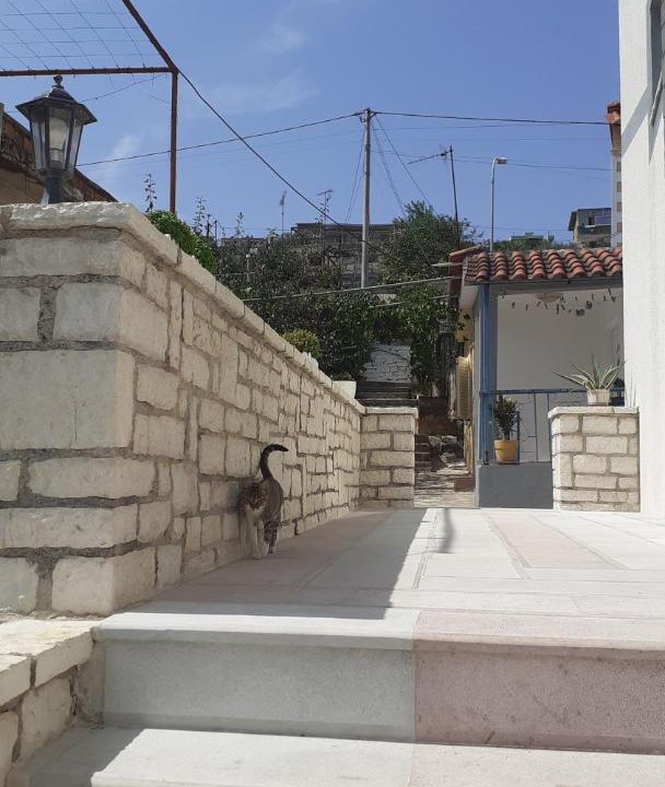 Photo of Others in Sarande