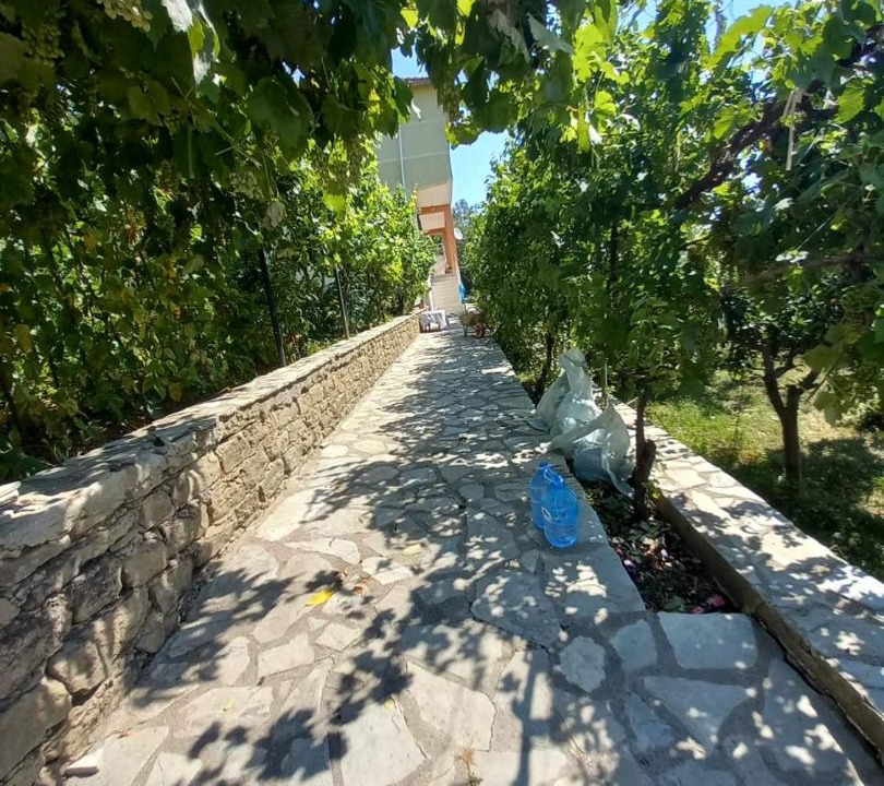Photo of Others in Korce