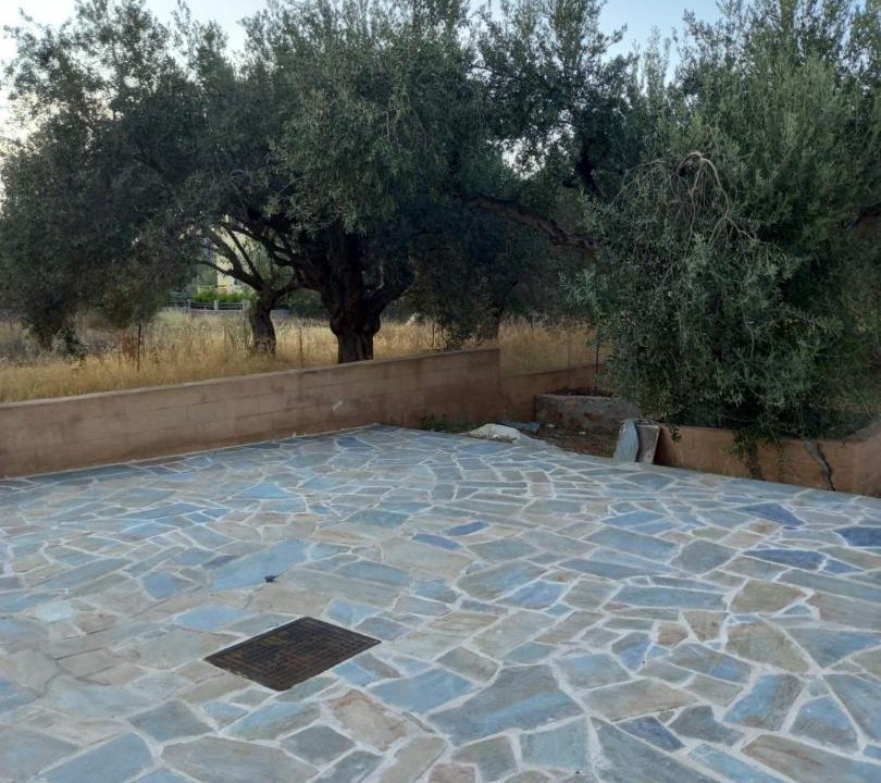 Photo of Others in Milos