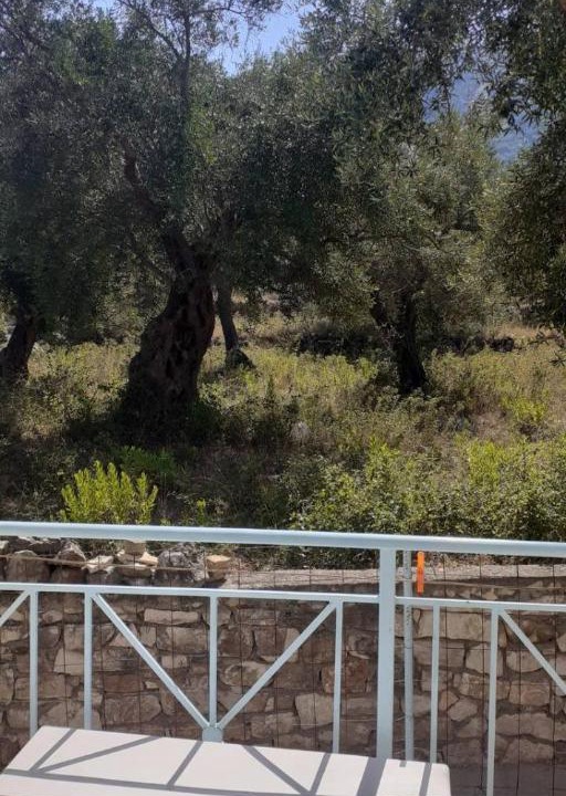 Photo of Others in Himare