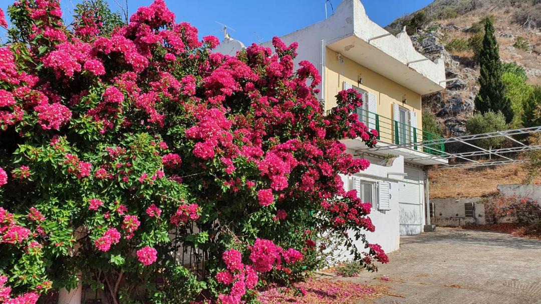 Photo of Others in Larissos