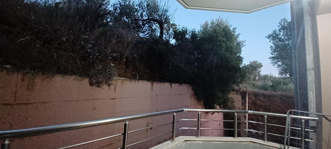 Photo of Others in Vlore