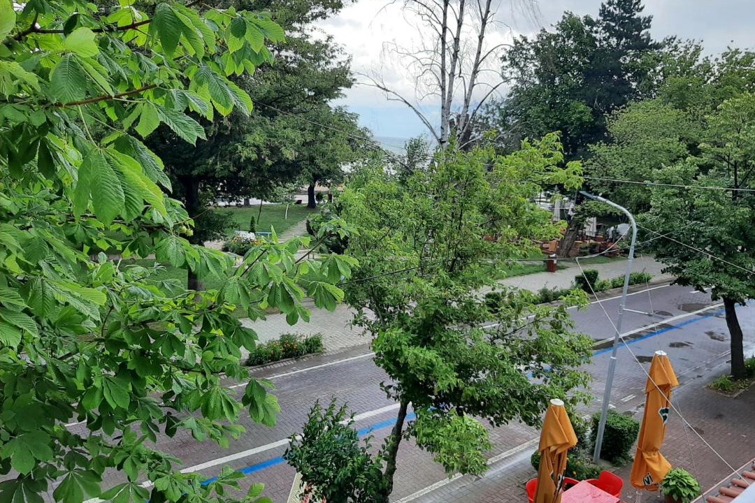 Photo of Others in Pogradec